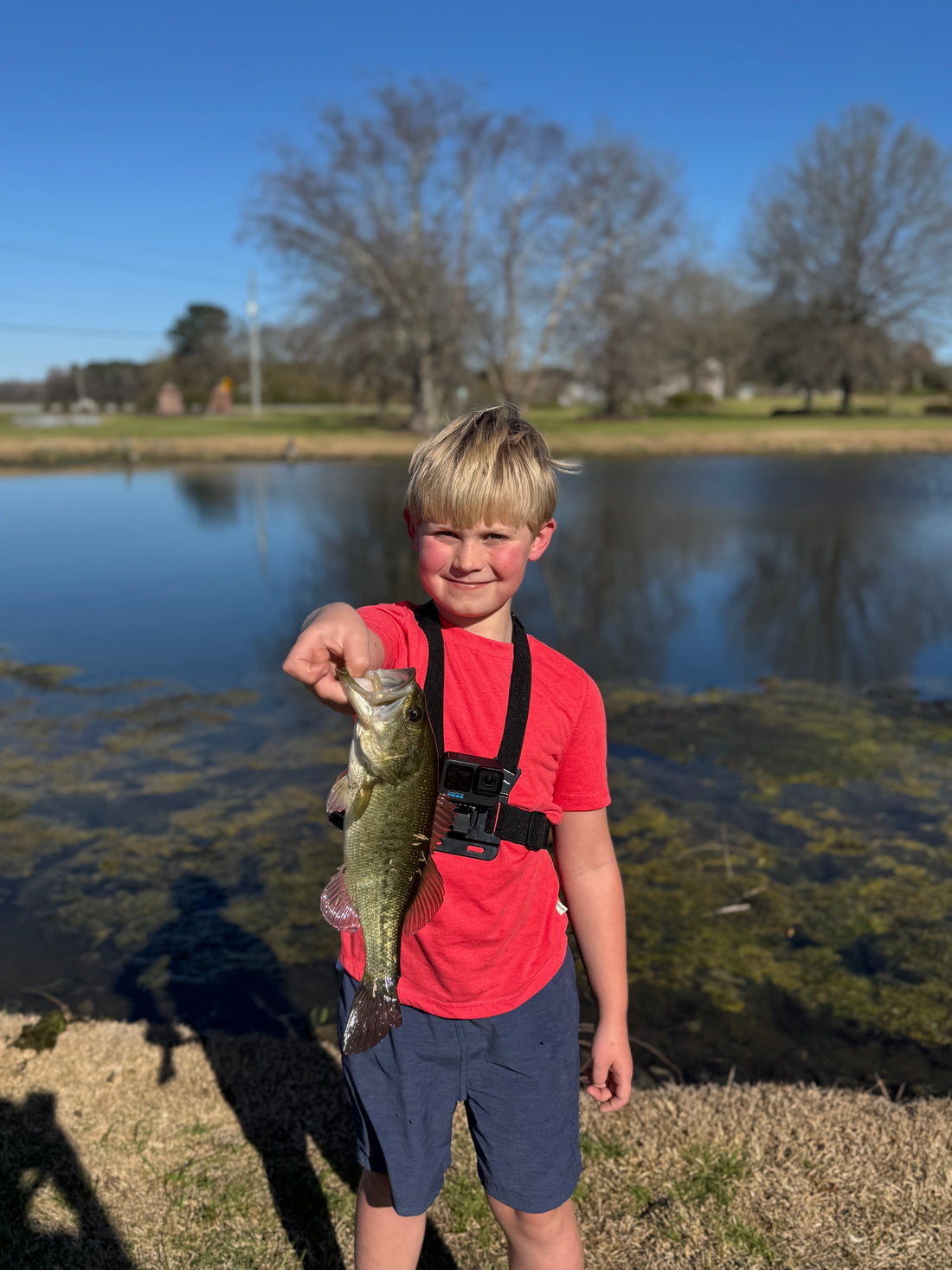 After School Bass and Bluegill