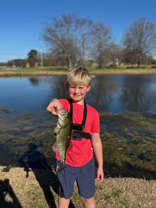 After School Bass and Bluegill